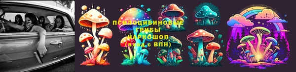 спиды Ростов