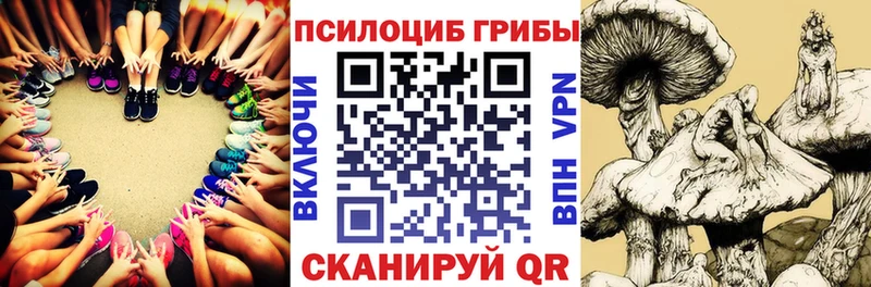 kraken как зайти  где купить наркоту  Дивногорск  Галлюциногенные грибы мицелий 