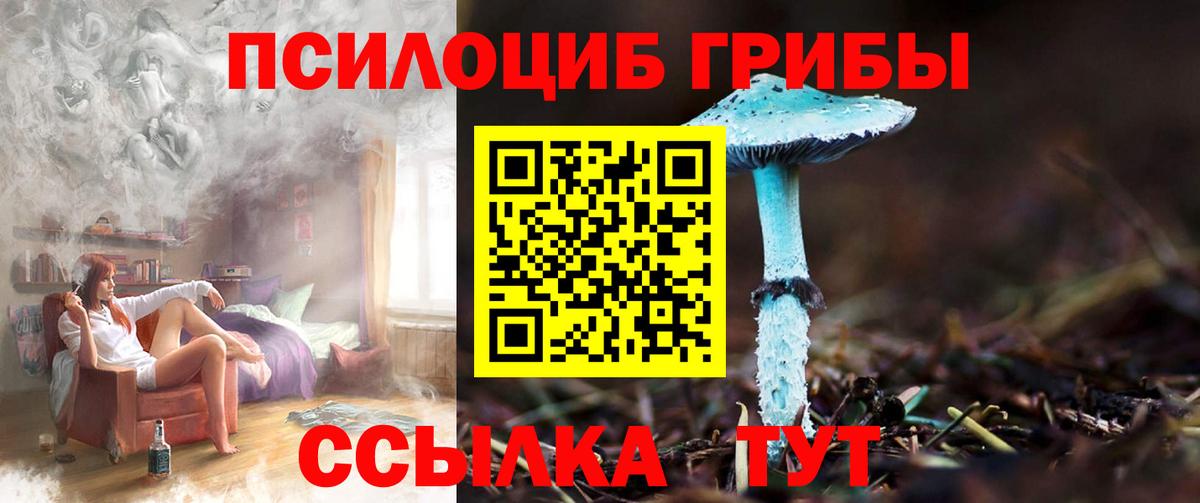 Псилоцибиновые грибы GOLDEN TEACHER  Галлюциногенные грибы MAGIC MUSHROOMS  Вход с VPN  Дивногорск 